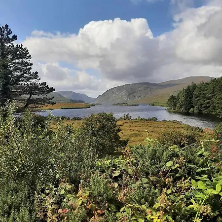 Ivy Letterkenny