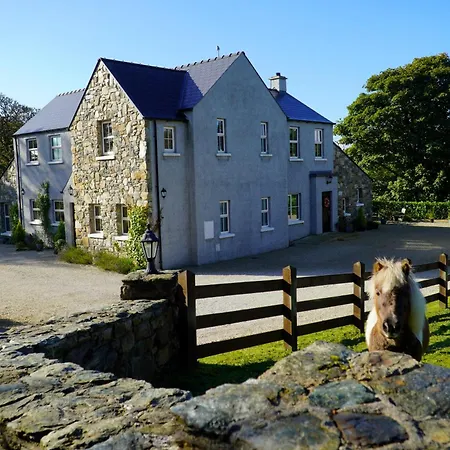 Ivy Letterkenny
