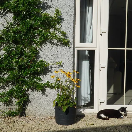 Ivy Apartamento Letterkenny